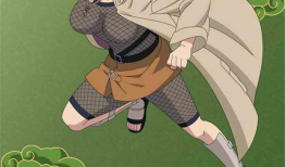 火影同人动漫在线观看,激情燃烧的忍者世界，在线观看盛宴