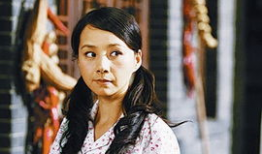 电视剧家常菜全集播放,味蕾上的温馨回忆