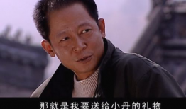 电视剧王志文,演绎人生百态，诠释时代变迁